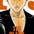 Bleach vol 19