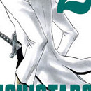 Bleach vol 22