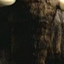 D.R.