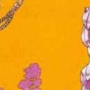 Jojo's Bizarre Adventure - Diamond is not crash vol 16