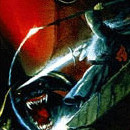 D.R.