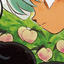 Inu Yasha vol 09