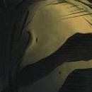 D.R.