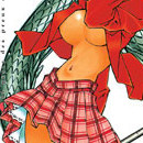 Ikkitousen vol 03