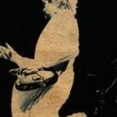 D.R.