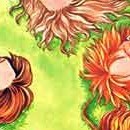 Hana Yori Dango vol 06