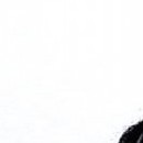 D.R.