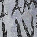 D.R.