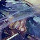 D.R.