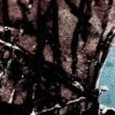 D.R.