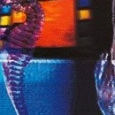 D.R.