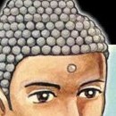 Bouddha vol 03
