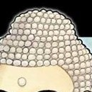 Bouddha vol 05