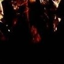 D.R.