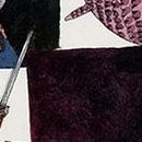 D.R.