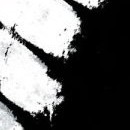 D.R.