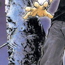 Flame of Recca vol 29