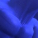 Blue Dragon