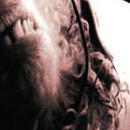 D.R.