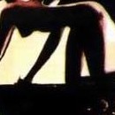 D.R.
