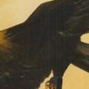 D.R.