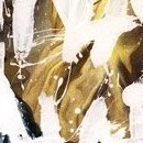 D.R.