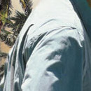 D.R.