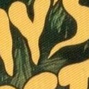 D.R.