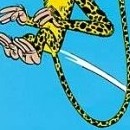 D.R.