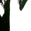D.R.