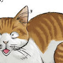 Cats vol 02