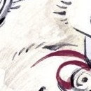 D.R.