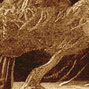 D.R.