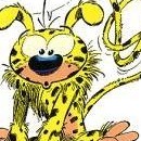 D.R.