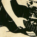 D.R.