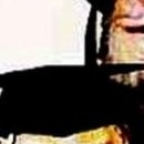 D.R.