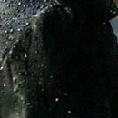 D.R.