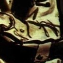 D.R.