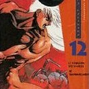Bastard !! vol 12