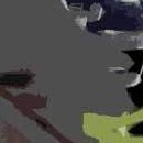 D.R.