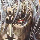 Bastard !! vol 21