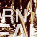 D.R.