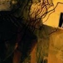 D.R.