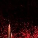 D.R.