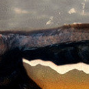 D.R.