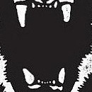 D.R.