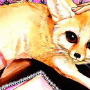 Angel Shop vol 01