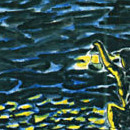 D.R.