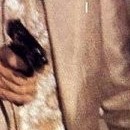 D.R.