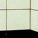 D.R.